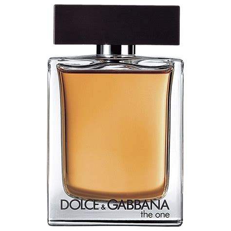 dolce and gabbana the one for men